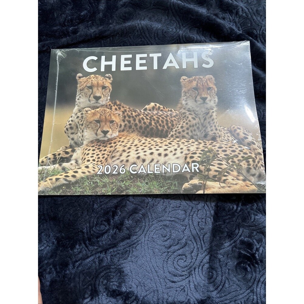 Cheetah Calendar 2026 Monthly Wall Calender 12 Month 12x18